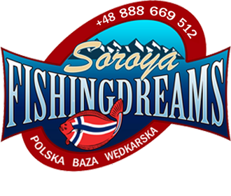logo fishingdreams, wyprawy wedkarsskie, Norwegia, wyspa Soroya.