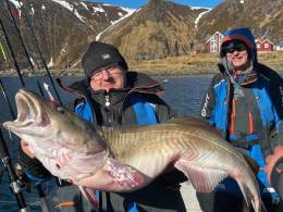 Baza Fishingdreams, Norwegia, okazy