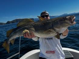Baza Fishingdreams, Norwegia, okazy